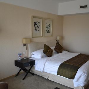 Standard Queen Twin Room